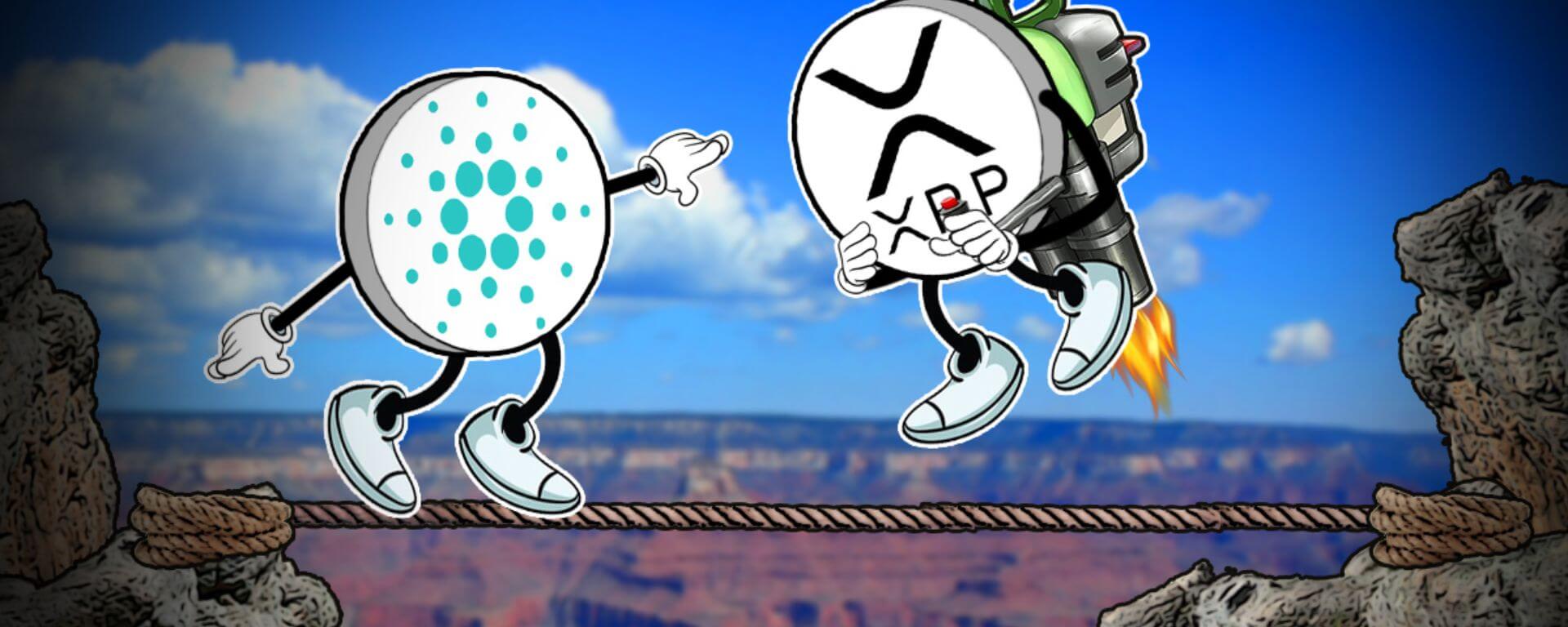 Cardano (ADA) levanta bandeira branca para a Ripple (XRP) e pede paz - Webitcoin
