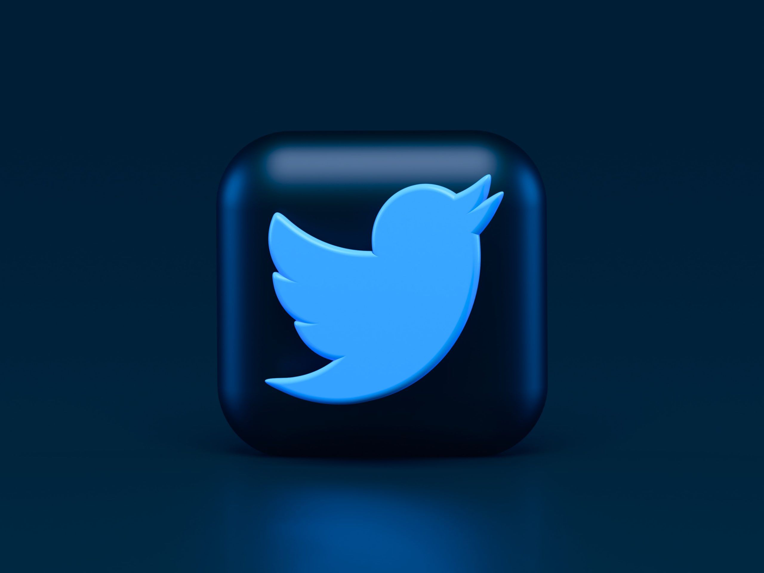 Edward Snowden Offers to Lead Twitter in Exchange for a BTC Salary - ATZCrypto