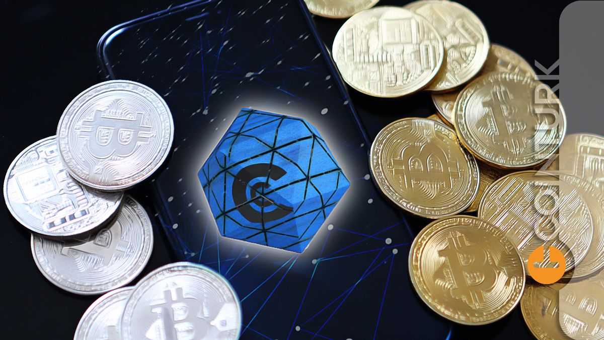 En Büyük 10 Altcoin Arasında ve Aralık Ayı Dibine Koşuyor! › COINTURK