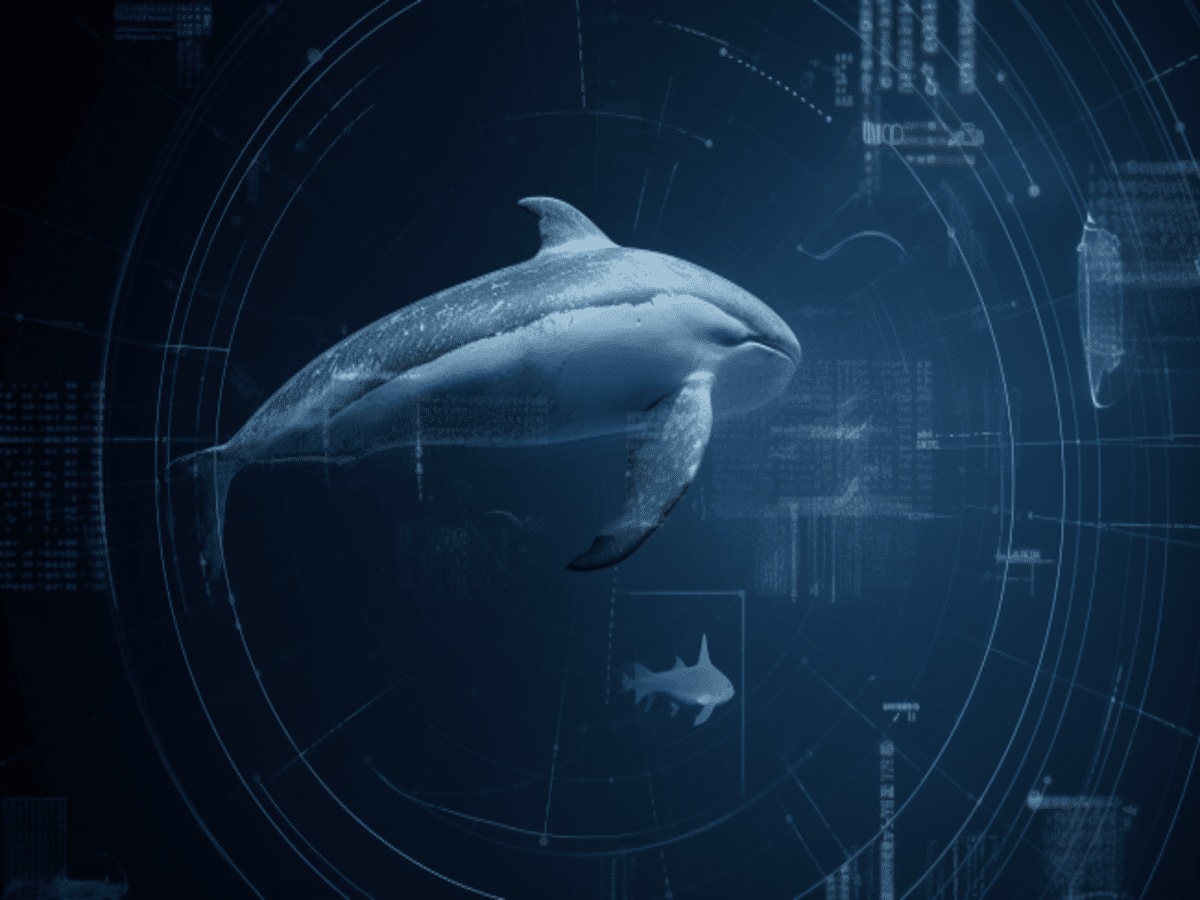 Cardano: Deciphering if ADA whales are encouraging bearish action