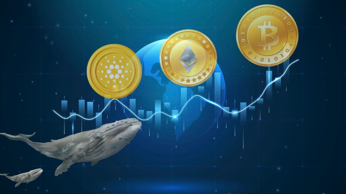 Cardano (ADA) Joins BTC and ETH as Whales' Transactions Break Three-Month Record - ELEVENEWS