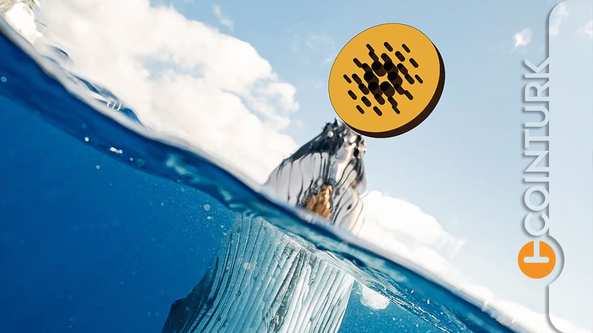 Fiyat Kırılması Yaklaşıyor, ADA Coin Almayı Düşünenlere Uyarı! › COINTURK