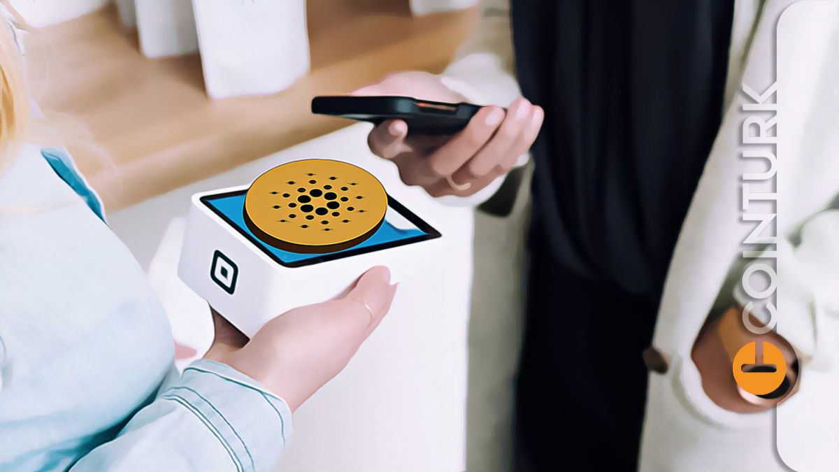 Cardano Neden Yükselemiyor? Uzun Vadede ADA Coin Alınır Mı? › COINTURK