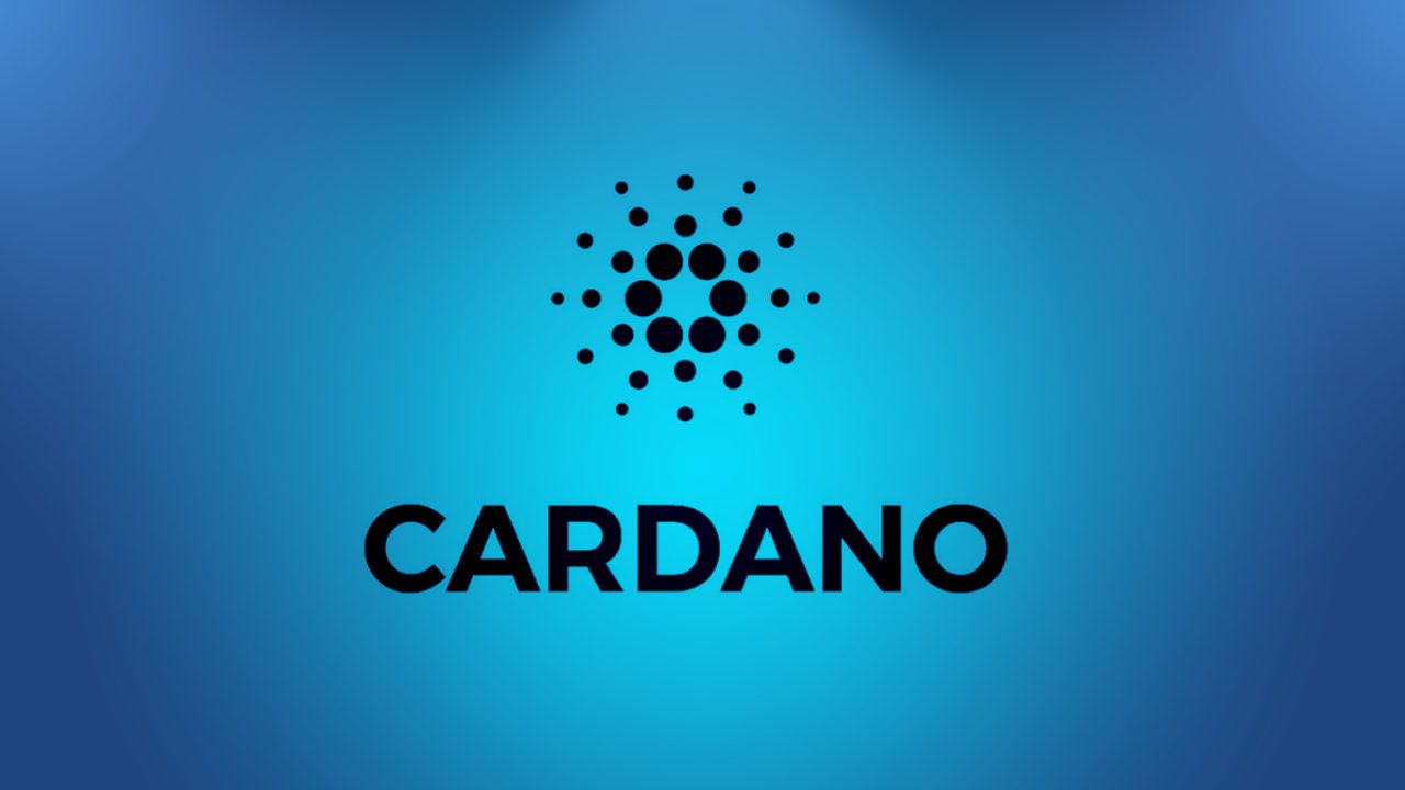 ‘ADA Whale’ on Cardano: ‘An Insane Amount of Cool Stuff Is Coming’ - ELEVENEWS