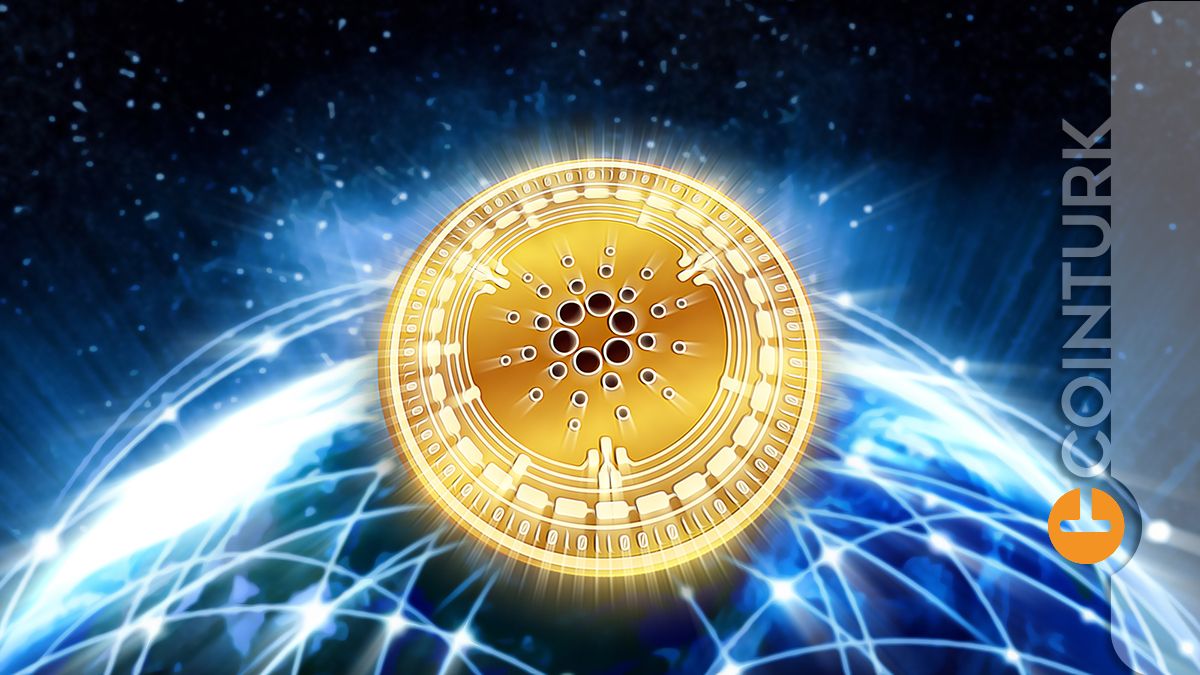 ADA Coin 2019 Yılının Mı Tekrar Ediyor? 2023-2024’te Cardano Yatırımcıları Ne Yapmalı? › COINTURK