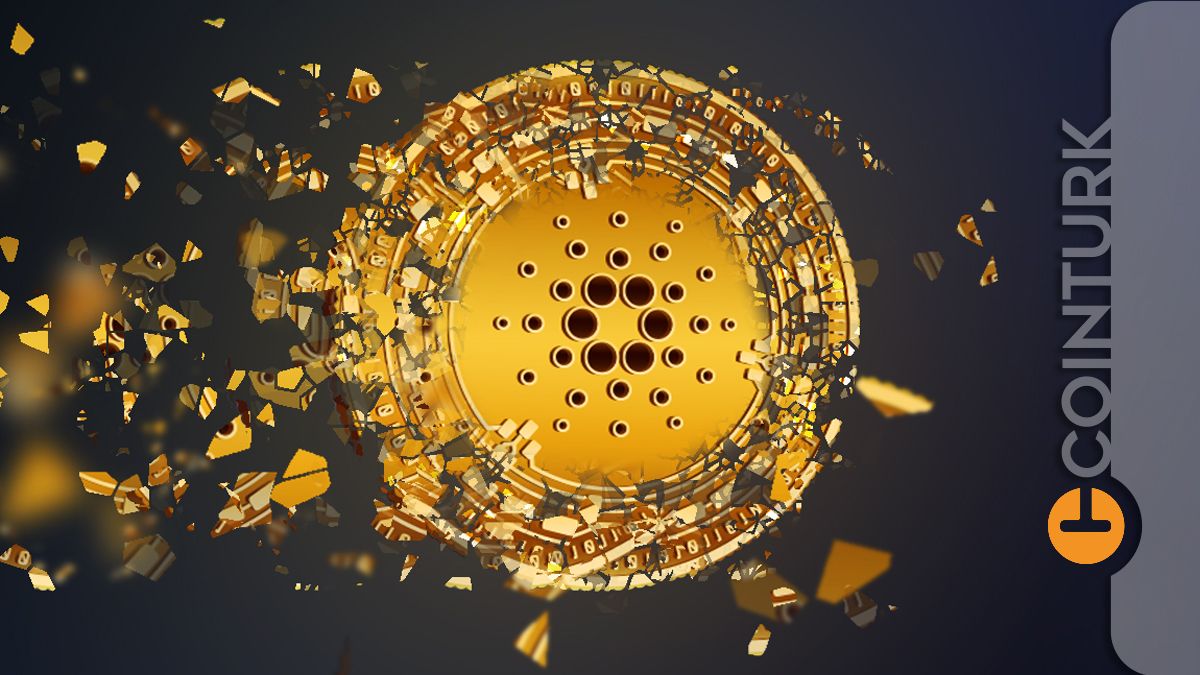 Cardano Fiyatı Gerilerken Balinaların ADA Alımları 45 Milyon Dolara Ulaştı › COINTURK