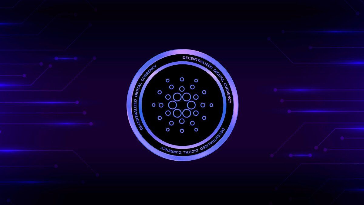 Cardano Whale Accumulation At One-Year High, ADA Price Rally Soon? - ELEVENEWS