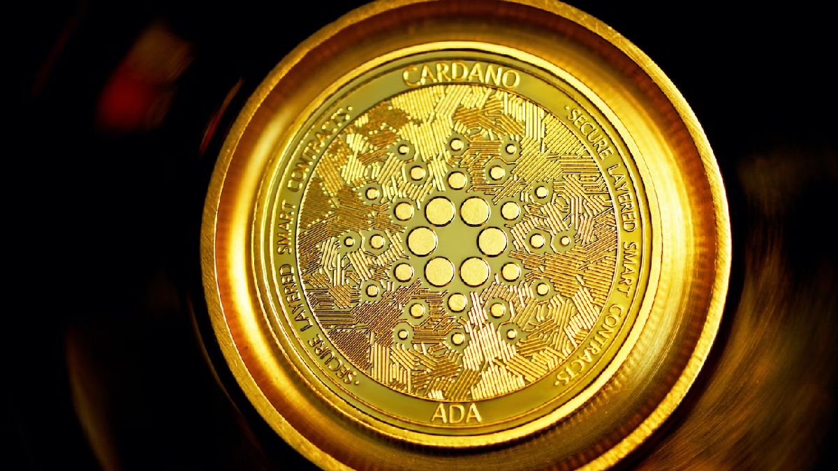 Charles Hoskinson Believes Cardano Will Become Biggest Crypto in the World Serving As Backbone of New Digital Nation - ELEVENEWS
