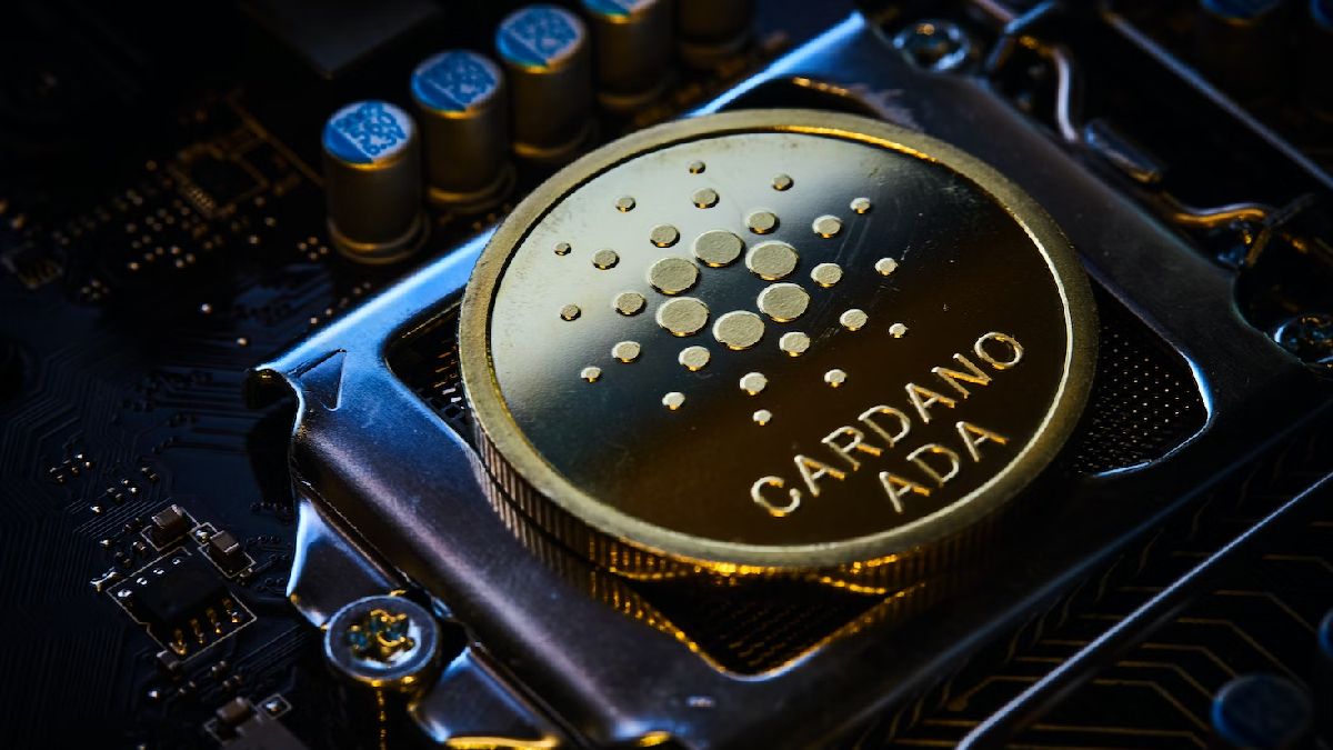 ‘Is BlackRock Looking Into Cardano?’ Discusses Crypto Twitter - ELEVENEWS