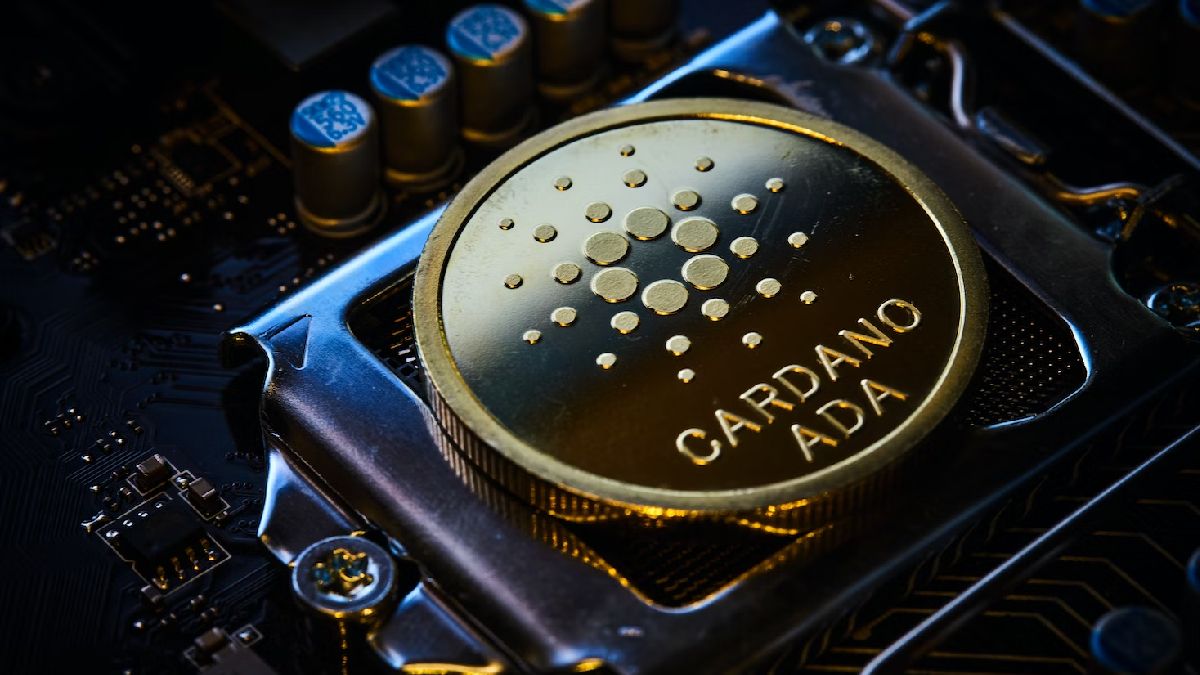 Cardano price tests main support for the fifth time as ADA fizzles out towards its bottom - ELEVENEWS