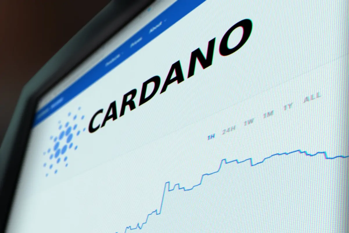 Tutaj liderem jest Cardano. We wrześniu nie mieli sobie równych! | BitHub.pl