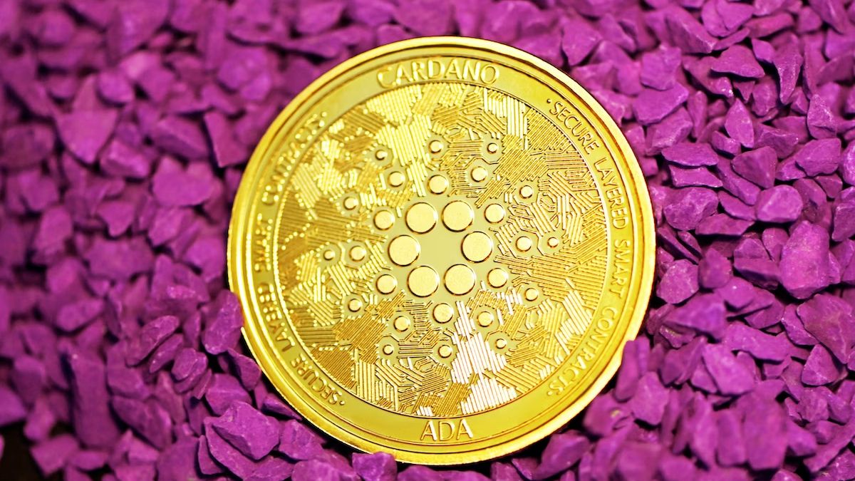Cardano HODLing: Long-Term Holders See 170% Rise In Past Year - ELEVENEWS