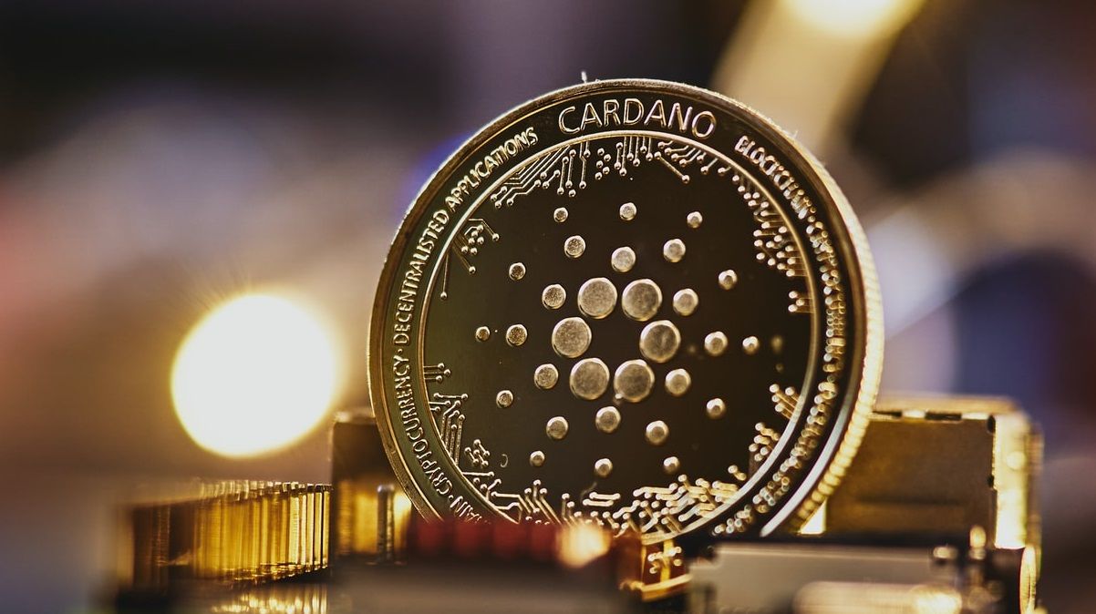 The Detailed A to Z Guide To Cardano Djed Stablecoin Upgrade - ELEVENEWS