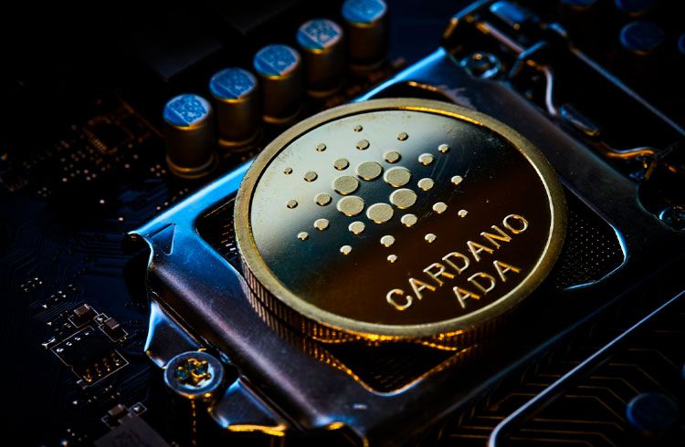 Baleias de Cardano nadam contra a corrente na tendência de baixa das criptomoedas; Concorrente do Shiba Inu arrecada US$ 7 milhões na pré-venda, você está pronto para o lançamento?
