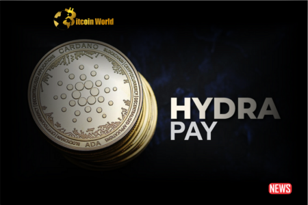 What Is Cardano’s Hydra Pay, and How Does It Revolutionize Micro Payments?