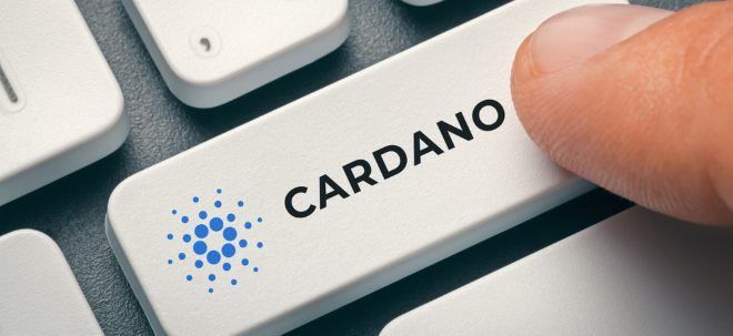 Les input endorsers sont-ils suffisants pour le succès de Cardano ? - La Crypto Monnaie