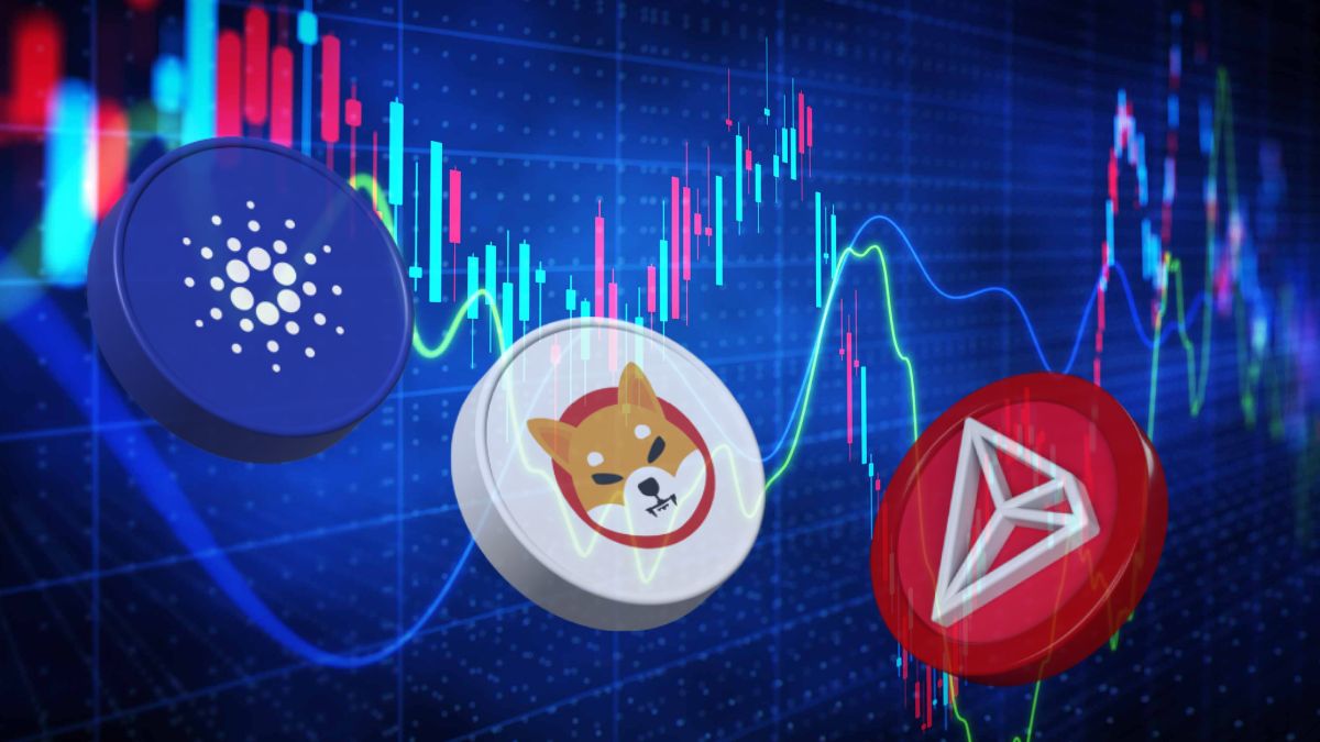 Analysis of Cardano, Tron and Shiba Inu crypto - ELEVENEWS