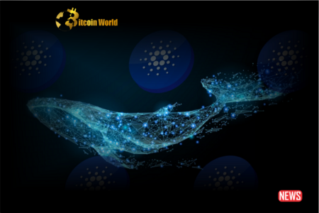 Cardano Whales Rapidly Accumulating, ADA Bull Run Incoming?