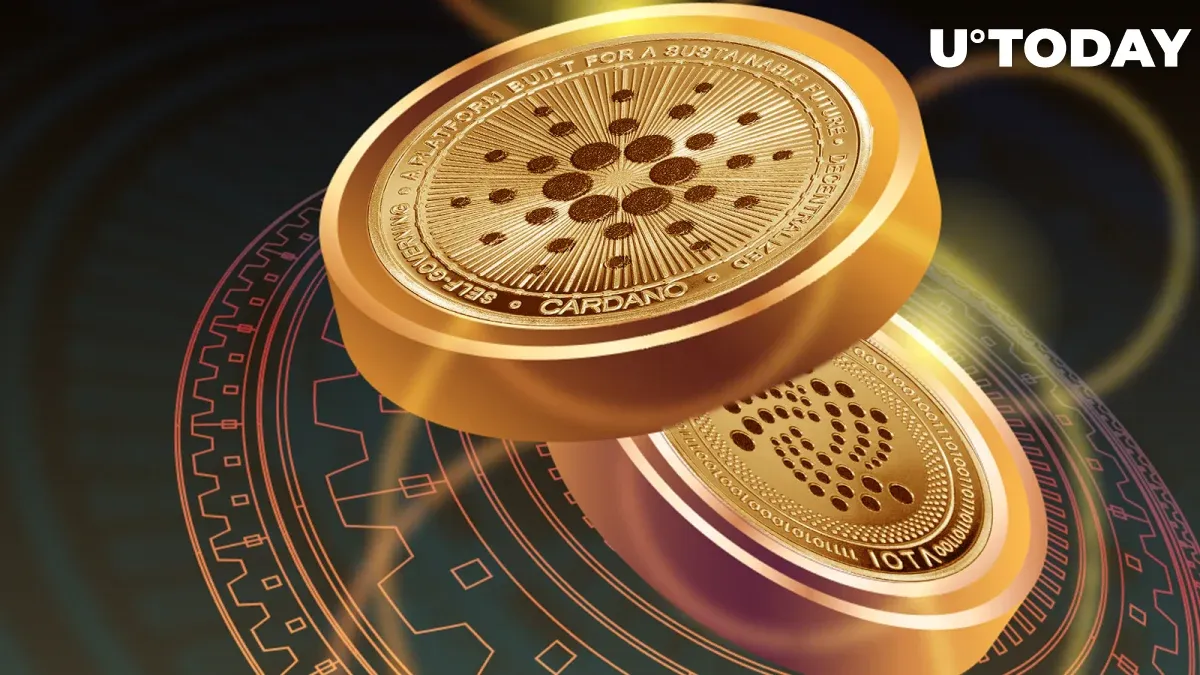 IOTA Cofounder: Exciting Cardano Collaboration Plans in Works