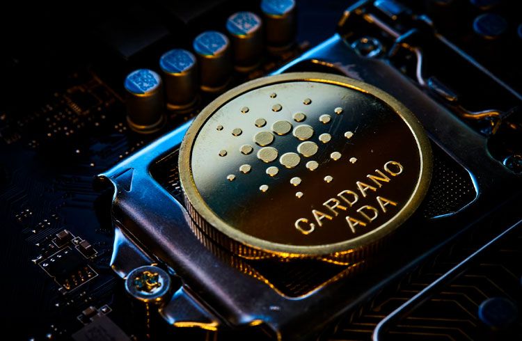 Justin Bons compartilha suas opiniões sobre Cardano (ADA) e Avalanche (AVAX), Borroe.Finance continua atraindo investidores
