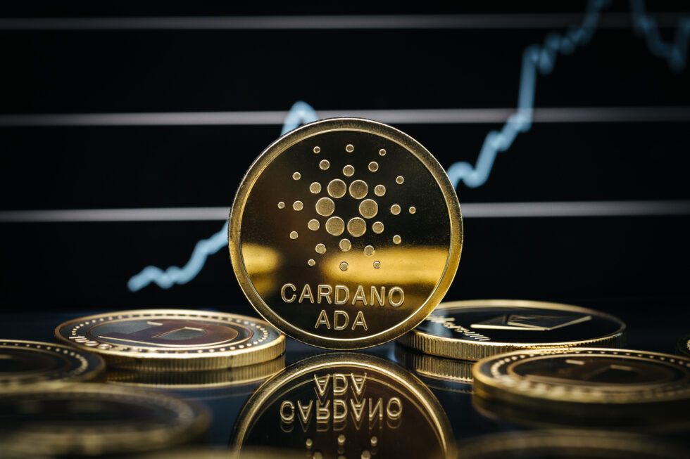 Cardano Slips Down 5%, But Sharks & Whales Continue To Buy