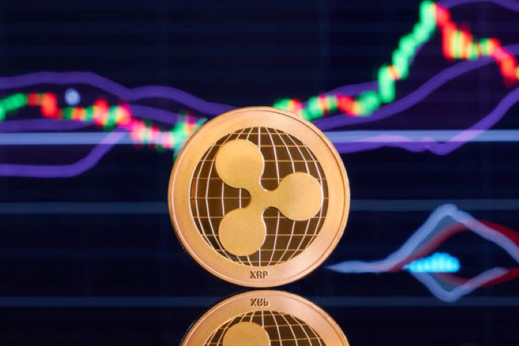 BIT Exchange introduit le trading d'options XRP et cite l'intérêt croissant du marché - La Crypto Monnaie