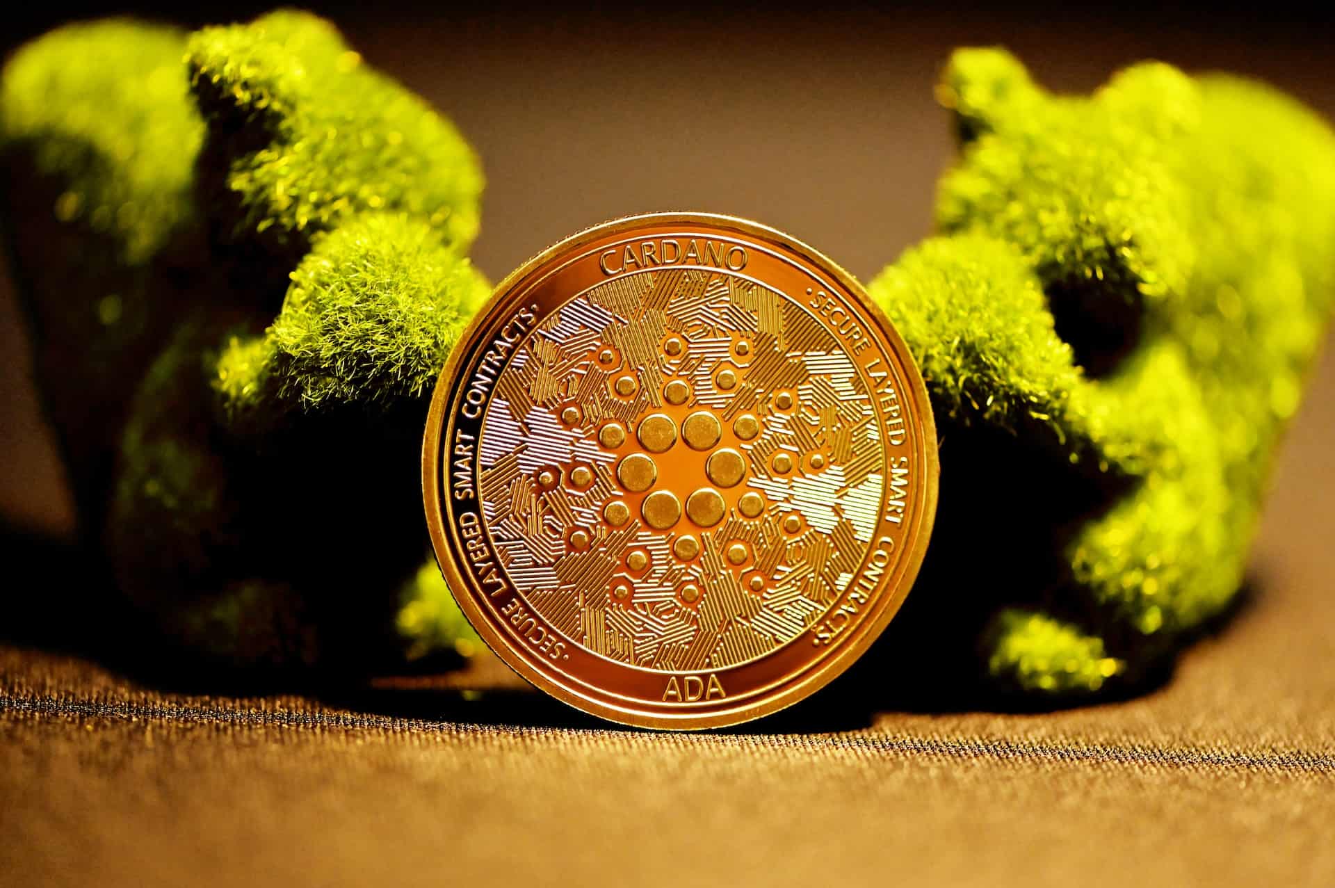 Red de Cardano registró repunte trimestral en volumen de transacciones y valor bloqueado - DiarioBitcoin