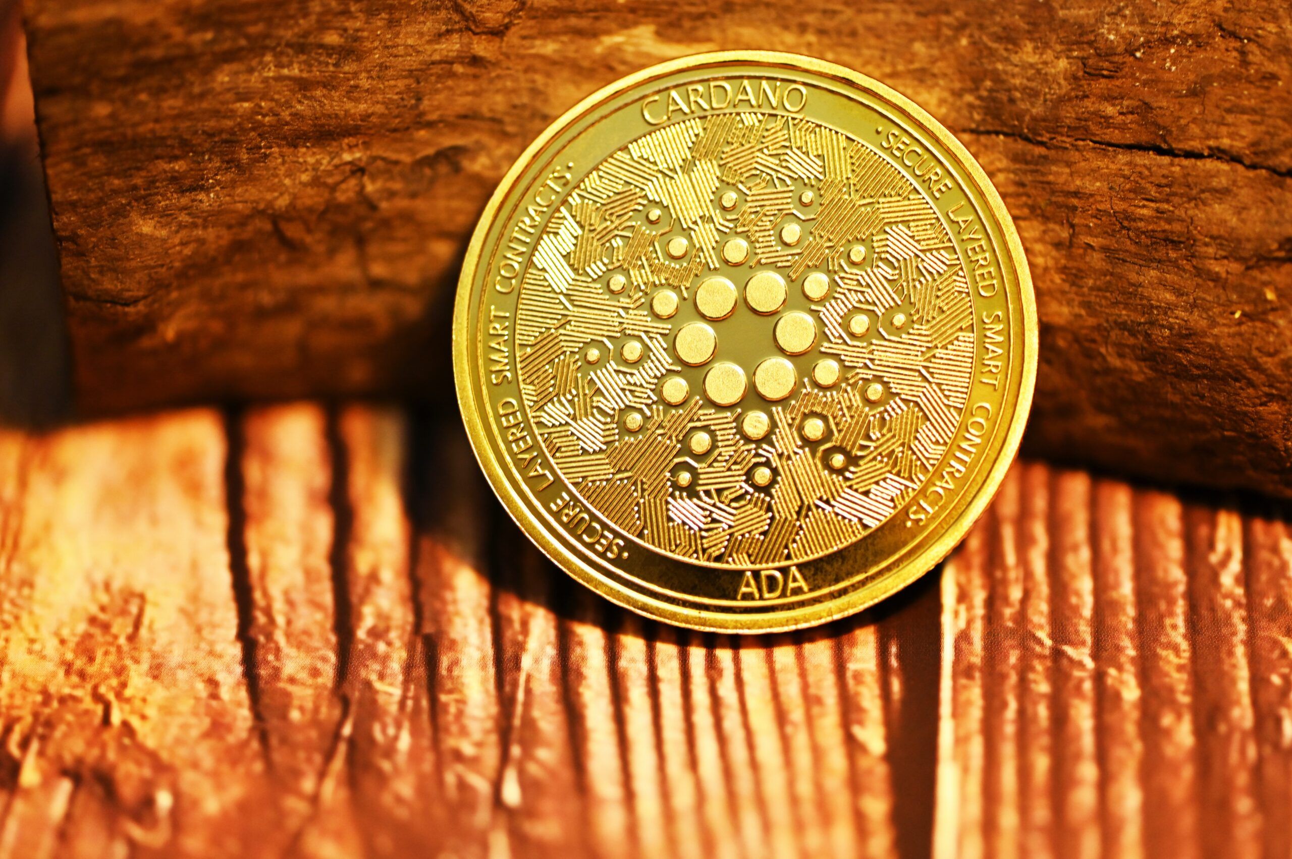Cardano wprowadza nowości a kurs ADA rośnie ponad 25% w ciągu tygodnia | BitHub.pl