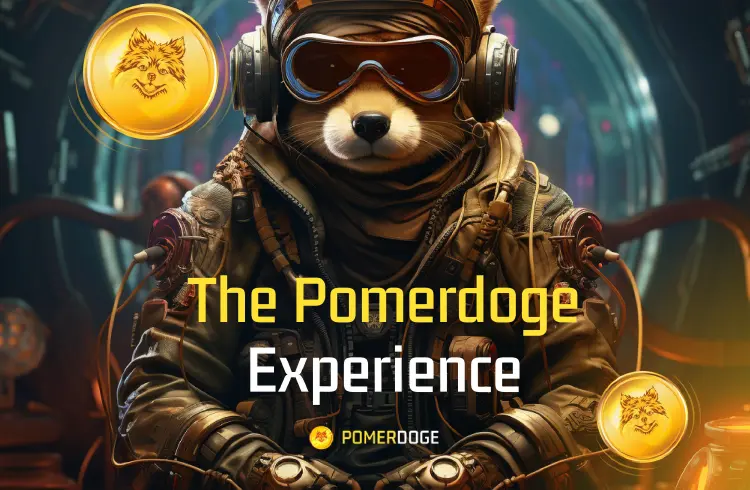 Radar do Investidor: Shiba Inu (SHIB), Cardano (ADA) e Pomerdoge (POMD) entre os três principais tokens para observar em Setembro
