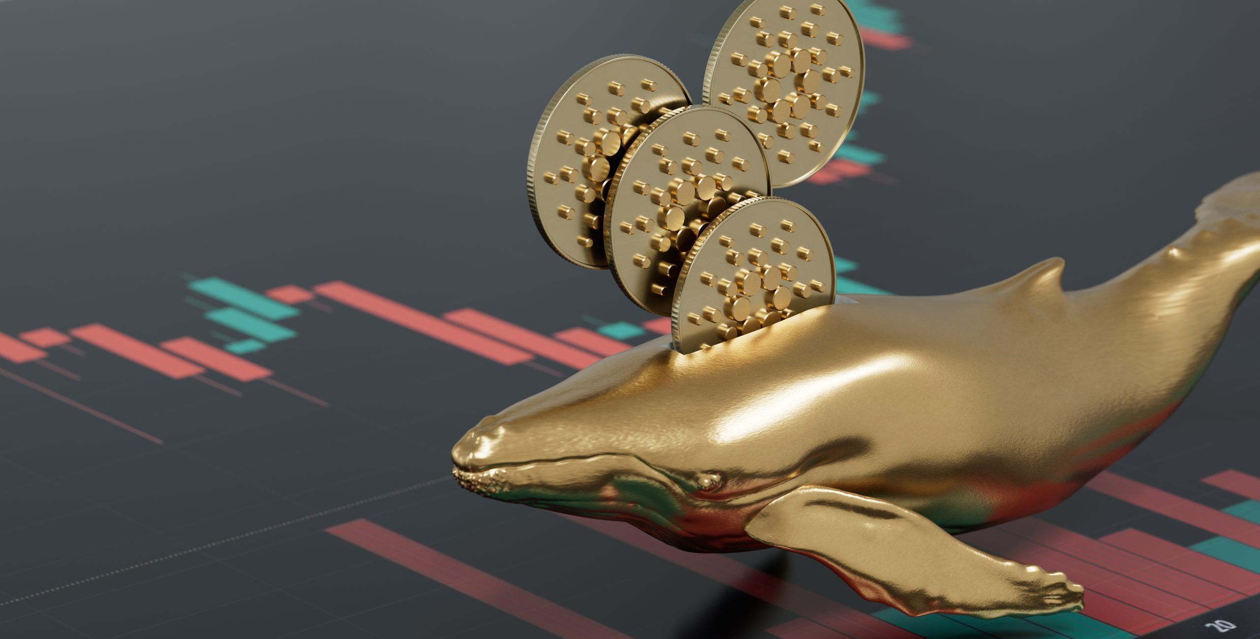 Cardano: les baleines font le plein d'ADA - La Crypto Monnaie
