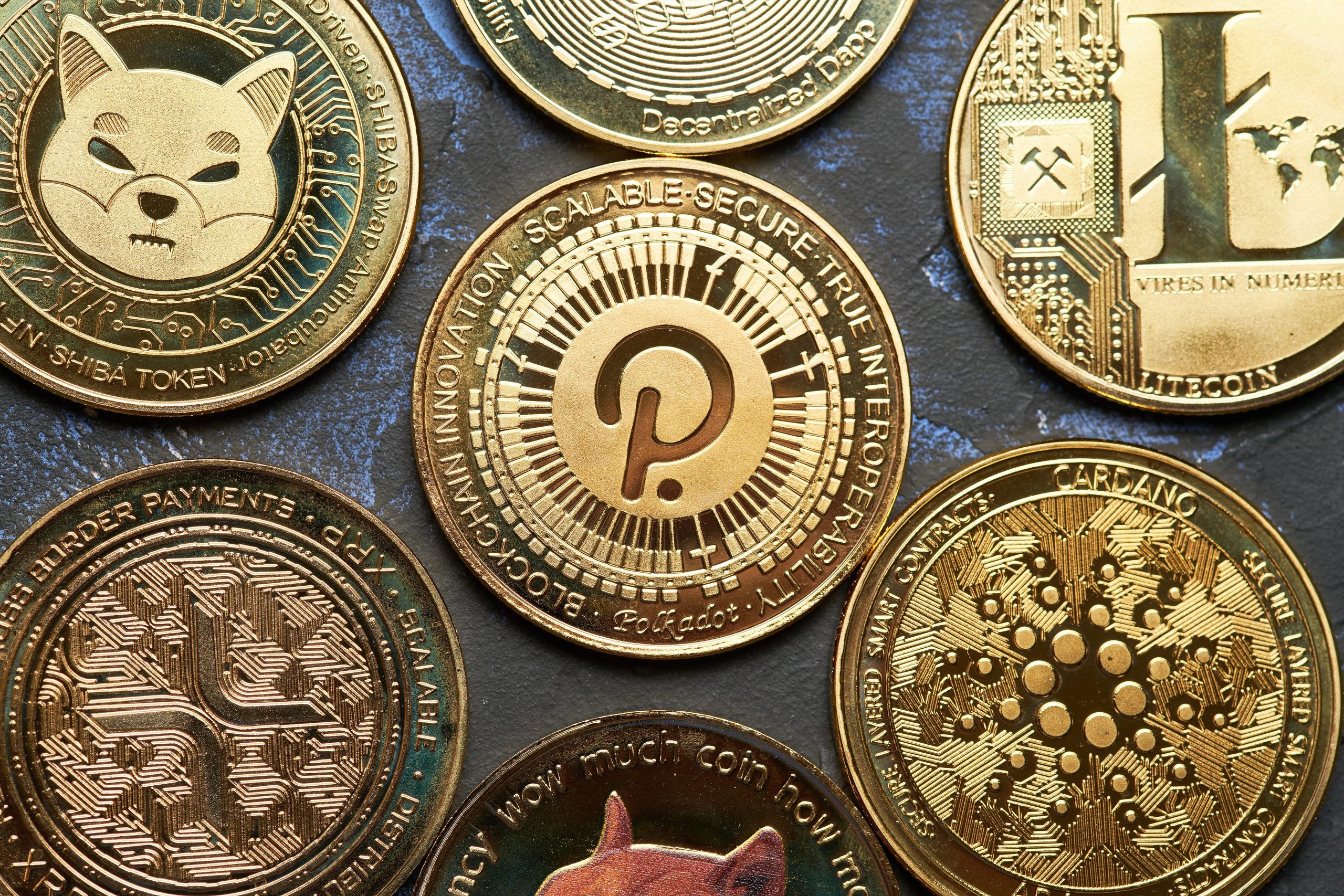 Trotz Bärenmarkt: Diese Krypto-Projekte entwickeln sich weiter