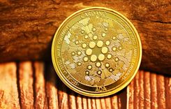 Cardano introduce transacciones Warp: una forma innovadora de transferir ADA  - DiarioBitcoin