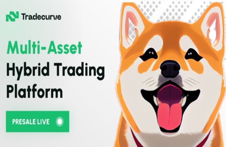 Tradecurve Markets (TCRV) arrecada US$ 6,2 milhões, Shiba Inu (SHIB) encontra novo suporte, Cardano (ADA) lidera atividade de desenvolvimento em criptomoedas