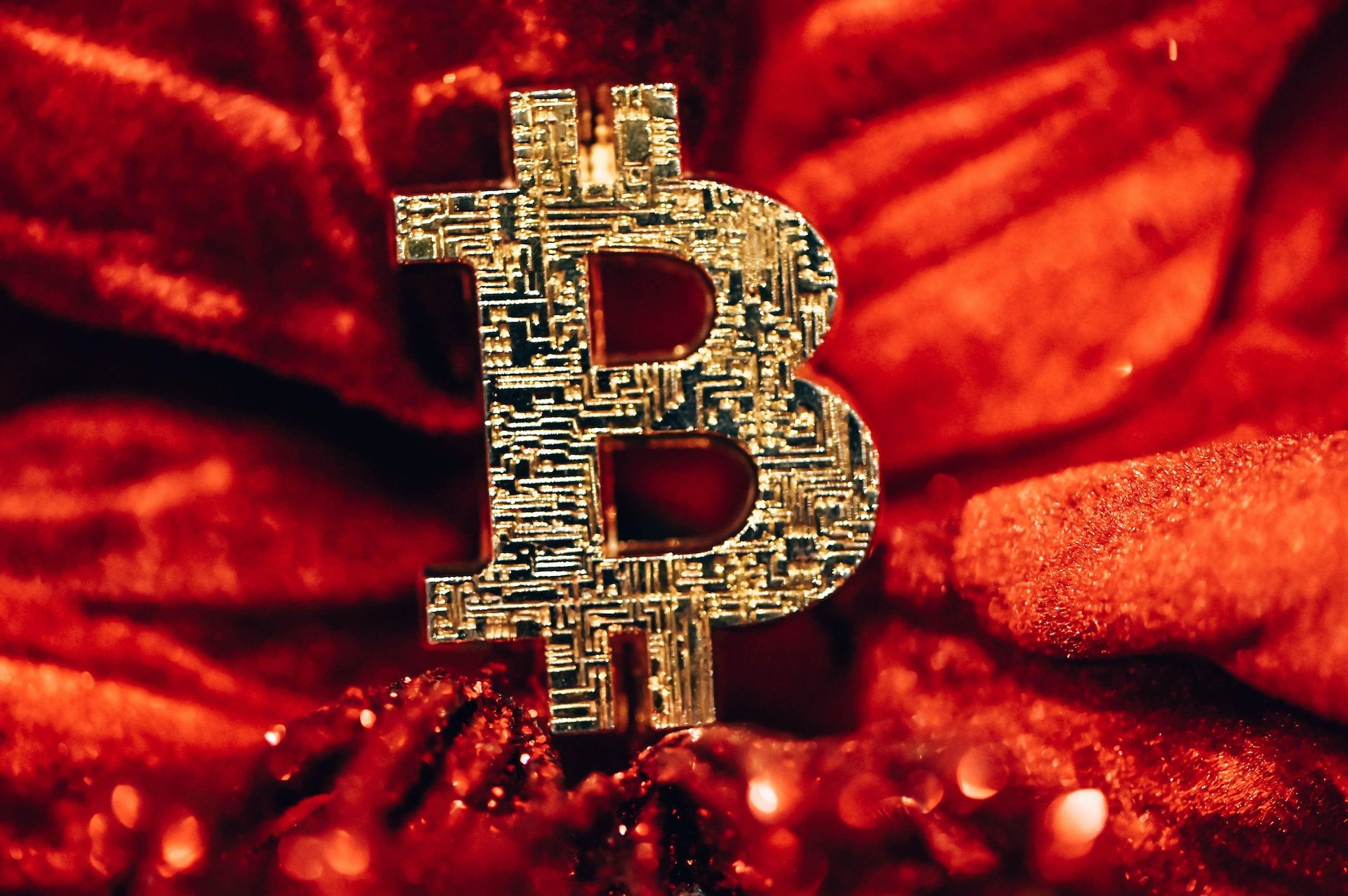 La Chine ouvre les vannes et Cardano, Ripple et Avorak AI pourraient décupler - La Crypto Monnaie