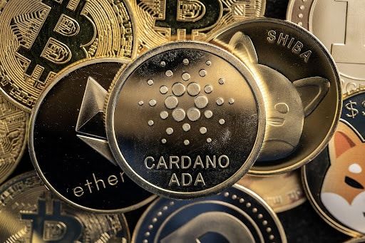 Cardano (ADA) Aktivität steigt mit der Kurserholung von DigiToads (TOADS)