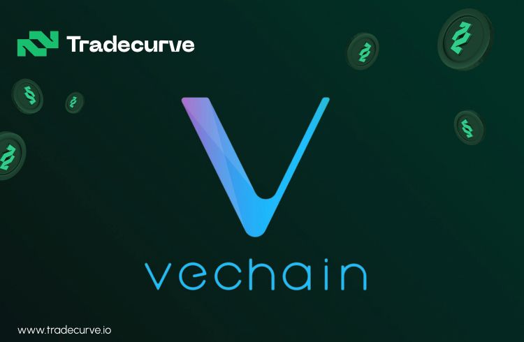 3 moedas para investir que estão revolucionando indústrias tradicionais: VeChain, Cardano e Tradecurve