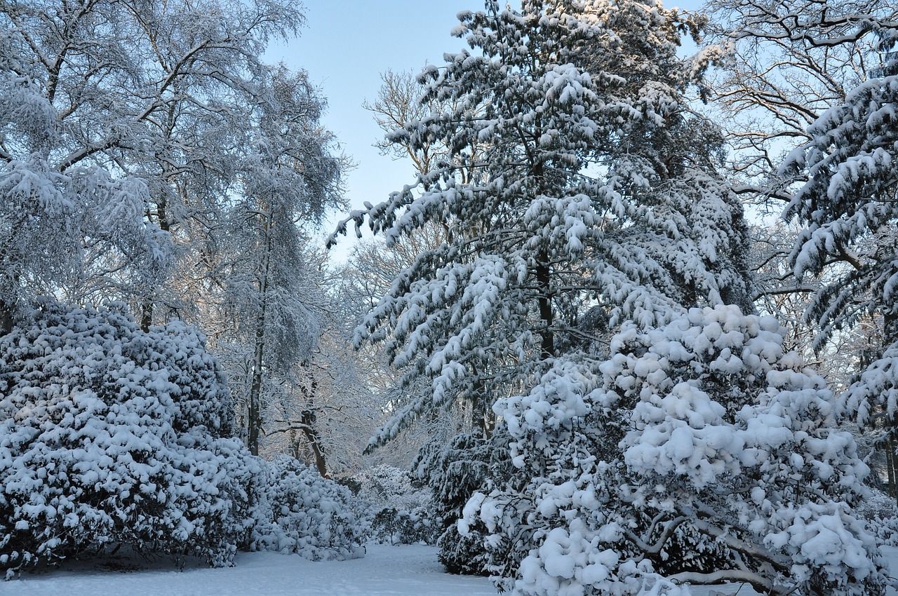 Kommt jetzt der nächste Kryptowinter? Warum sich eine Investition in Kryptos immer noch lohnt - Coincierge.de | Bitcoin-Blog