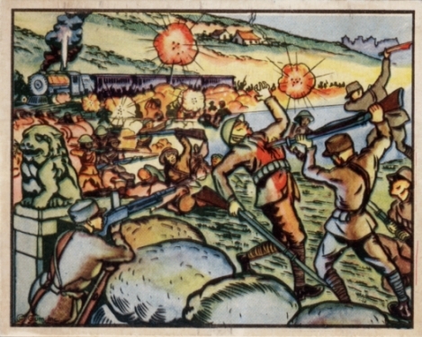 Card 230236