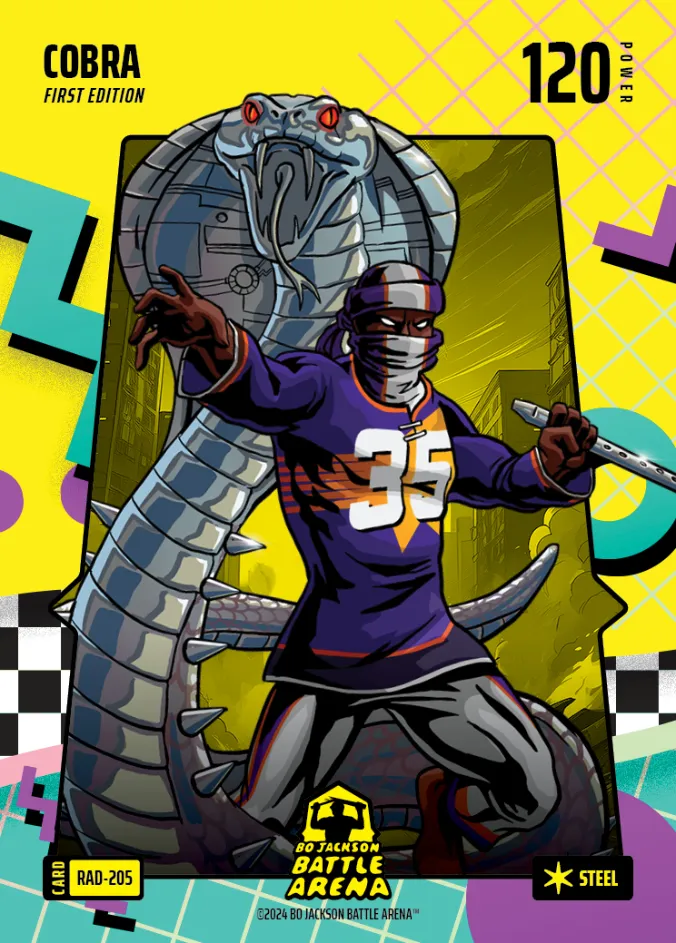 Cobra RAD-205