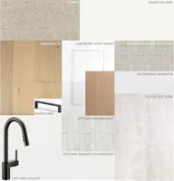 Aspen lot 64 interior color scheme