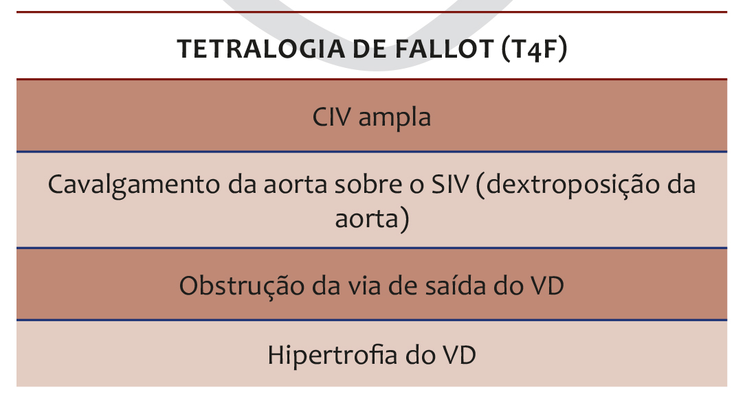 CardioAula - Médico escrevendo coração de ECG