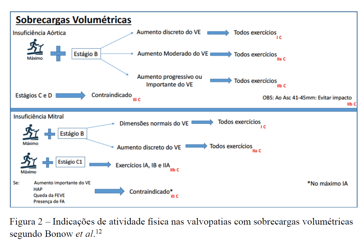 CardioAula - Médico escrevendo coração de ECG