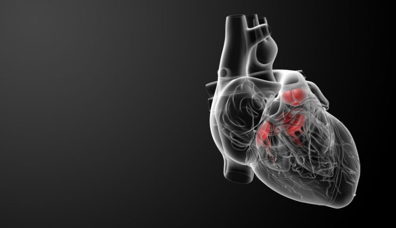 CardioAula - Médico escrevendo coração de ECG