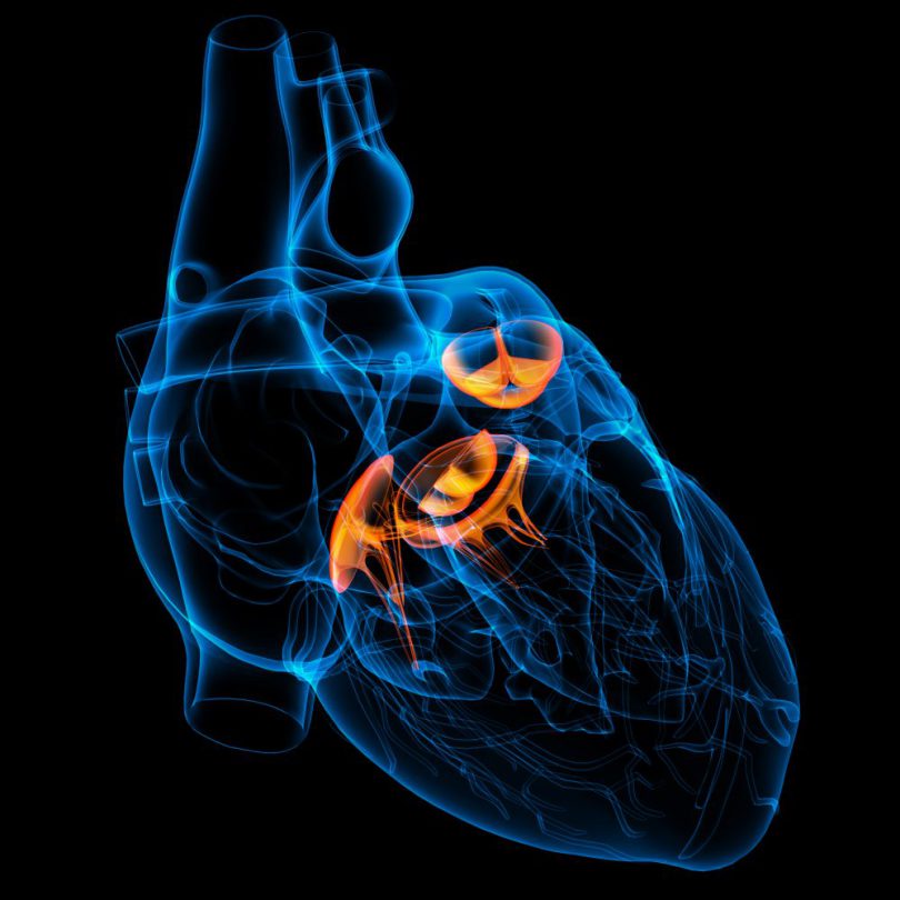 CardioAula - Médico escrevendo coração de ECG