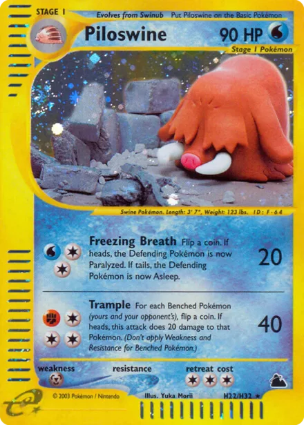 Piloswine ecard3 H22