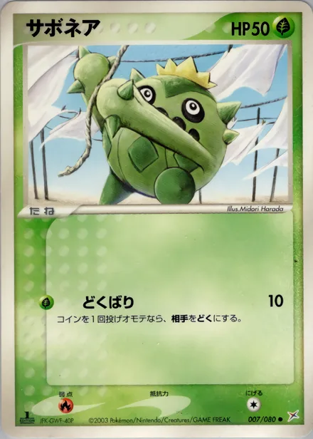 Cacnea ADV4 007/080