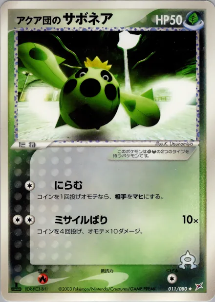 Team Aqua's Cacnea ADV4 011/080