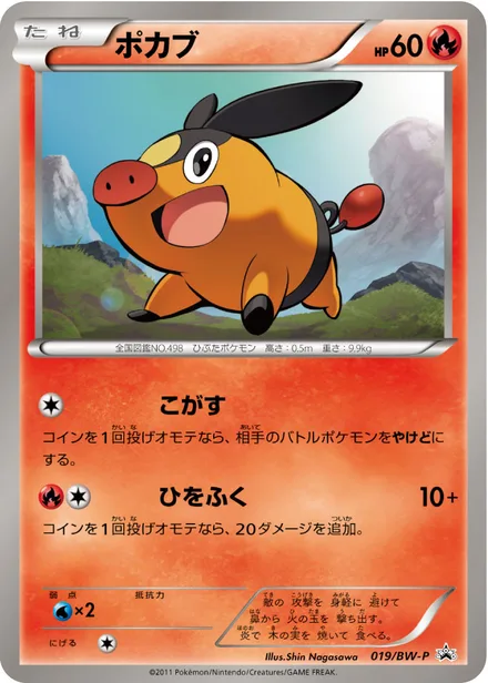 Tepig BW-P 019/BW-P
