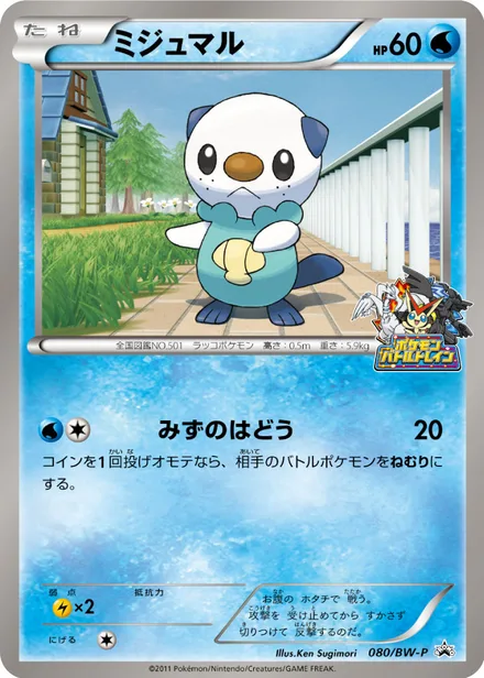 Oshawott BW-P 080/BW-P