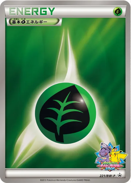 Grass Energy BW-P 221/BW-P